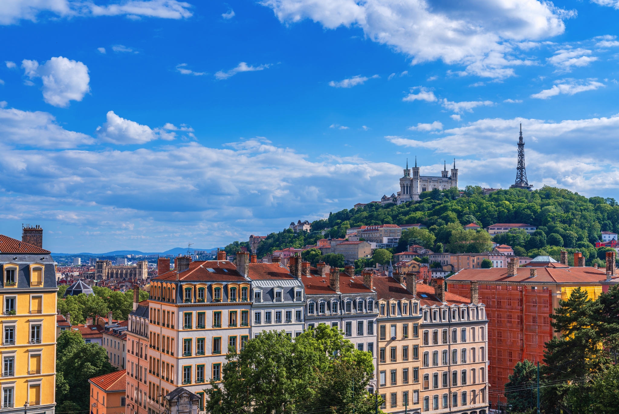 Lyon Lyon Bild
